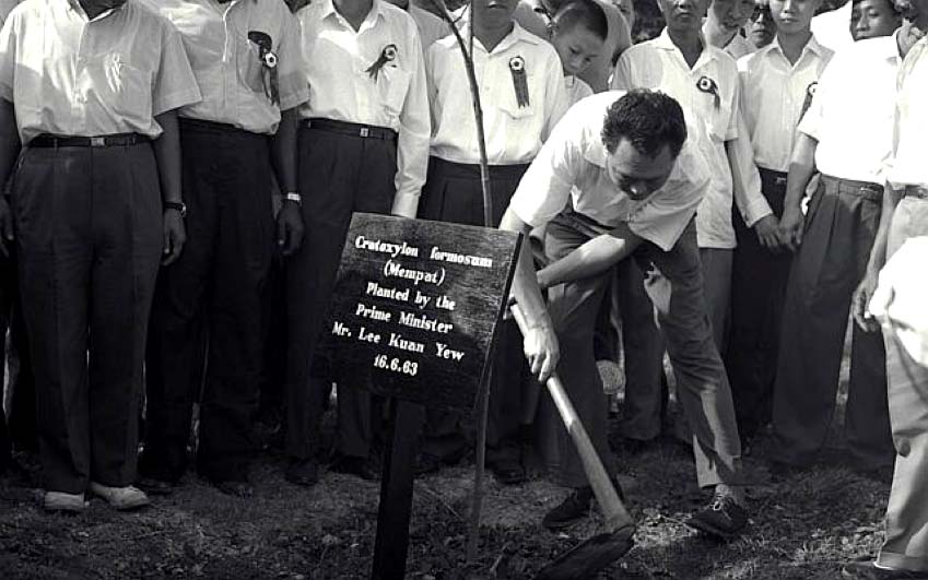PM Lee Kuan Yew Planting a Tree 