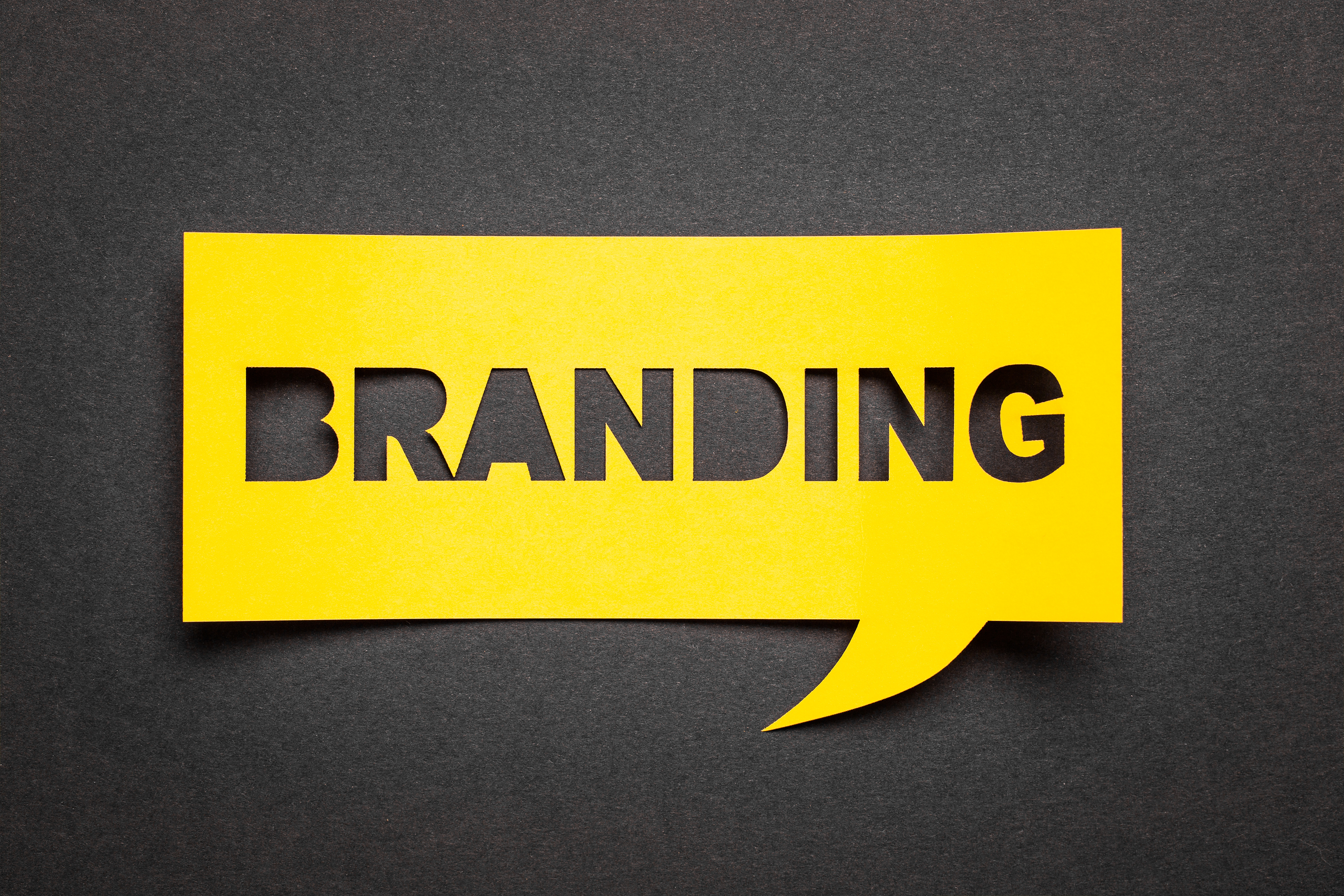 Rebranding-SME-Branding-Intro